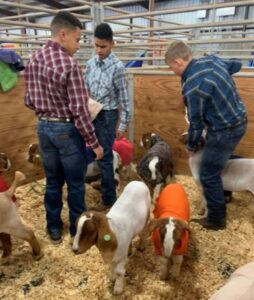 Pathfinders boys with goats